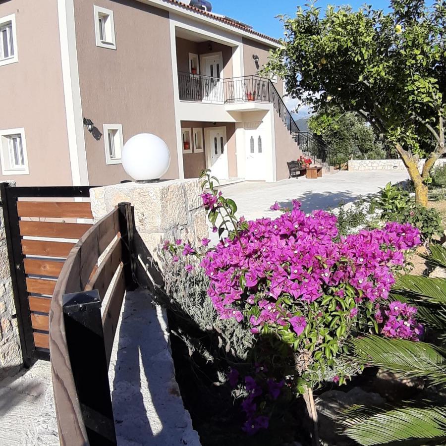 Nikoleta'S Studios Argostoli  Bagian luar foto