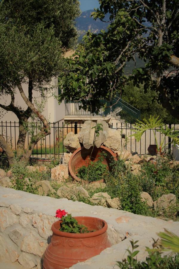Nikoleta'S Studios Argostoli  Bagian luar foto
