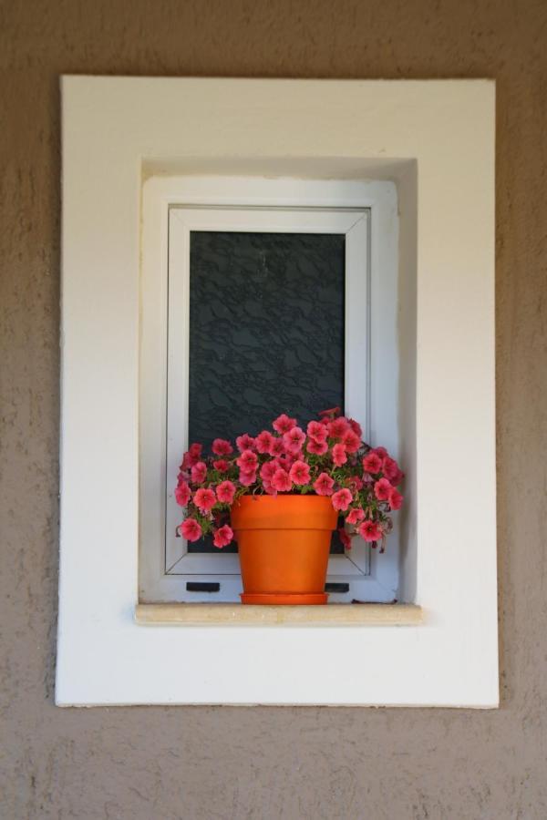 Nikoleta'S Studios Argostoli  Bagian luar foto